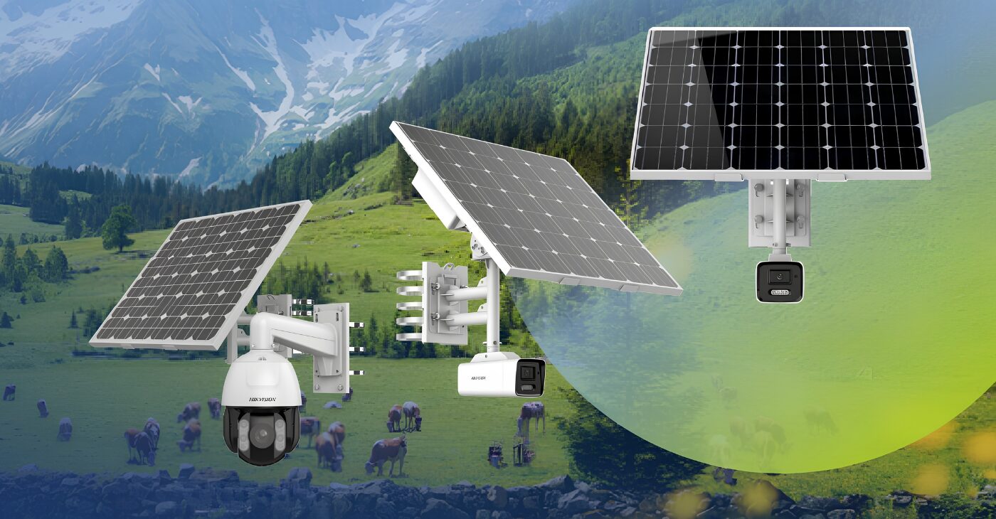 blog novelec 49 plantas solares